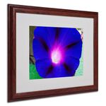 Trademark Fine Art Deep Blue Morning Glory by Kurt Shaffer, Wood Frame 16x20-Inch