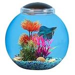 BettaTank 3-Gallon Fish Bowl with L