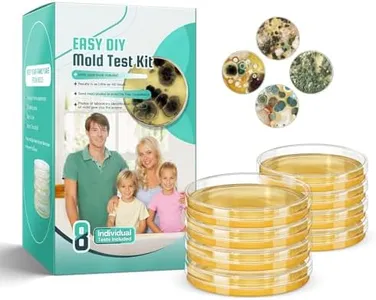 Mold Test 