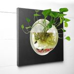 Premium Wall Hanging | Wall Mount Fish Bowl 15 Inch Acrylic for Your Home and Office with Free Color Pebbles Stones (15 Inch, White)