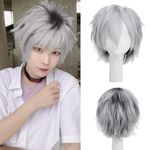 s-noilite Women Mens Short Anime Cosplay Wigs Ombre Loose Fluffy Tail Straight Synthetic Hair Full Wig Cool Party Costume(Black to Grey)