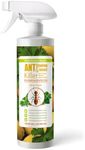 EcoVenger® Ant and Insect Killer 16