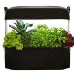 Vegepod - Kitchen Garden - Gourmet Herb and Vegetable Indoor Grow Kit, Self Watering, LED Grow Light (Black)