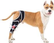 Dog Knee Brace for Torn Acl Hind Le
