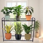 D&V ENGINEERING - Creative in innovation Metal 2-Tier Indoor Outdoor Multipurpose Plant Stand Rack, Flower Pot Display Shelf, 32.25" Wide, 26.8" Height - Black