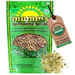 Mumm's Sprouting Seeds - Spring Salad Mix - 250 GR - Organic Sprout Seed Kit - Broccoli, Radish, Alfalfa and Red Clover