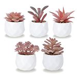 Korvea Set of 5 Artificial Succulent Plants - Pink Mini Assorted Fake Succulents - Small Artificial Plants in Pots for Home Decor Indoor - Fake Plants for Window Sills, Bathroom Decor, Office Spaces…