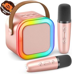 Portable Bluetooth Karaoke Machine with 2 Wireless Mics