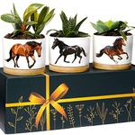 Horse Planters, Horse Gifts For Girls, Horse Gifts For Women Unique, Equestrian Gifts For Girls, Horse Lover Gifts For Women, Horse Themed Gifts For Women, Horse Gifts For Men, Horse Trainer Gifts