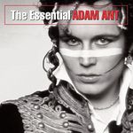 Adam  The Ants