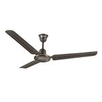 Ceiling Fan For Great Room