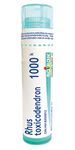 Rhus Toxicodendron 1000k, Boiron Homeopathic Medicine