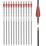30 inch Carbon Arrow Hunting Arrows Spine 500 with 100 Grain Removable Tips for Archery Compound Bow Recurve Bow Practice Shooting (Pack of 12)