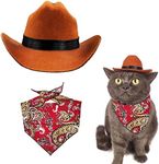 Pet Cowboy Hat Bandana Costume, Fun