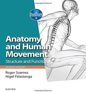 Anatomy an