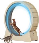 MIWOOYY Large Cat Exercise Wheel 40