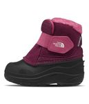 The North Face Toddler Alpenglow II Insulated Snow Boot | Waterproof Construction & Durable Rubber Outsole, Boysenberry/TNF Black, 4