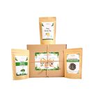 CENVEL® Super Green Tea Selection | Our Hand Picked Selection of Our Organic Green Tea | Pure Green | Japanese Sencha | Great Gift Box | Eco Friendly Packaging | Zero Plastic (Super Green)