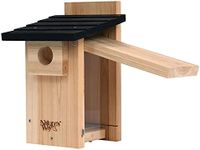 Nature's Way Bird Products CWH4 Cedar Bluebird Viewing House