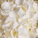 Freeze Dried Ivory White Rose Flower Petals, Real Preserved Petals 1.75oz for Romantic Night Wedding Decor, Flower Girl Dinner Table Centerpieces Party Confetti Bridal Shower