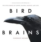 Bird Brains: The Intelligence of Crows, Ravens, Magpies, and Jays