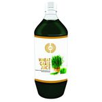 Fitness Mantra Ayurvedic Wheat Grass Juice Bottle, 1 L, Green, (JL-BJMO-CM04)