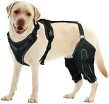 LISPOO Dog Acl Knee Brace for Torn 