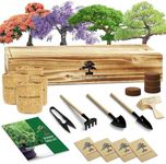 LUOJIBIE Bonsai Tree Kit, Complete Indoor Bonsai Starter Kit for Growing Bonsai Plants with Tools & Pots, Grow Bonsai Tree in Live Indoor, Plant Bonsai Kits, DIY Gardening Gifts for Men and Women