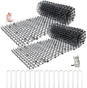 2 Pack Cat