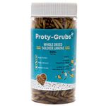 PROTYGRUBS Black Soldier Fly Larvae - 100% Natural, High Protein Dry Young Fish Food for Arowana, Flowerhorn, Oscar, Parrots & Other Carnivores (50 Gm),Pack of 1