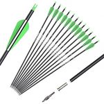 Archery Carbon Hunting Arrows for Compound & Recurve Bows - 30 inch Target Practice Bow Arrow - Removable Nock & Tips Points (12 Pack)