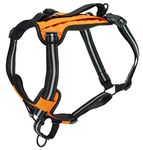 PetSafe Walk-Along Outdoor Dog Harness, No-Pull Solution, Water-Resistant, Zippered Pouch for Storage, Built-in Car Restraint, Large