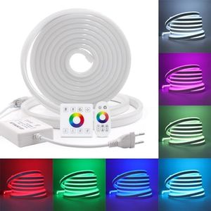 HEGEHE Kit luce neon LED RGB dimmerabile 220V, striscia LED + alimentatore + controller + clip, impermeabile e flessibile, 80 LEDs/m, SMD5050, tagliabile 1M, adatto per decorazioni fai da te [3M]