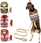 Muttitude Dog Harness & Leash Set, World Designs Collection (Extra Large, Goa)