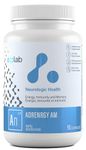 ATP LAB - AdrenRGY AM 90 Capsules - Adrenal Support Supplement for Brain Health, Adrenal Fatigue, Energy Support, Immunity Support, Teeth Health, Gum Health, Wound Healing and Memory Focus Supplement