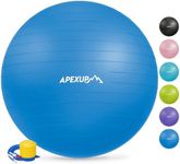 APEXUP Yoga Ball Exercise Ball, Ant