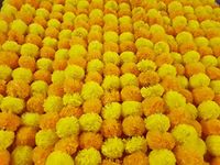 L.Orange & Yellow 5ft Artificial Marigold Flower Garland fr Parties Wedding Diwali Mehndi Pooja Festival & Traditional Indian Theme Decoration Home Decoration Photo Prop Backdrops DIY