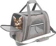 Airline Approved Pet Carrier for Sm