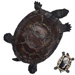 USEAMIE Spare Key Hider Turtle Shape Garden Decoration Safe Holder for Outdoor Yard Large Size Design (3.8×5.7×1.6 inchs)