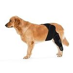 Dog Rear Leg Braces, For Support With Cruciate Ligament Torn Injury Joint Hip And Muscle Sore Dog Leg Braces for Back Leg Dog ACL Brace Knee Brace for Dog ACL Brace Hind Leg (Black, Size M)