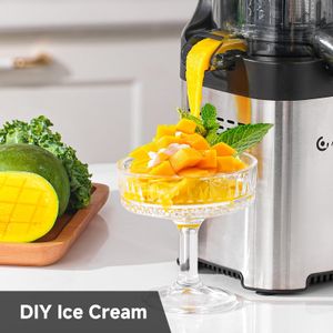 AMZCHEF Cold Press Juicer – Stainless Steel, Large Feed Chute, Easy Clean