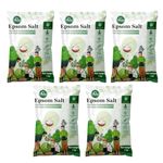 TrustBasket Epsom Salt for plants (1 KG) | Contains Magnesium Sulfur | Water Soluble Plant Fertilizer | Prevents yellowing of leaves | Plant growth supplement