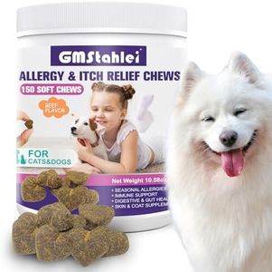Dog Allerg