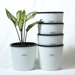 GREENON® 5 Inch Plant Pot Pack of 5 (10 pots) White Outer and Black Inner Planter | Self Water | UnFadable Flower Pot | Virgin Plastic Gamla | UV Treated | for Tabletop and Countertop