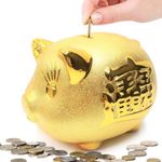 Gold Piggy Bank ~ 招財進寶 We Wish You Wealth and Success Saving Box Piggy Bank Coin Bank for Home Decor, Holiday and Birthday Gift ~ Mose Cafolo