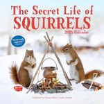 The Secret Life of Squirrels Wall C