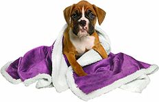 Petslover Blanket for Dogs Cats, Warm Flannel Plush Pet Bed Blanket Reversible Purpal (Small)