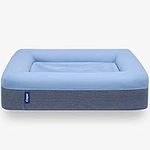 Casper Dog Bed, Plush Memory Foam, 