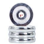 Dolphy 2.5 kg x 4 Standard Weight Plates for Home Gym | 1 Inch Chrome Iron Weight Lifting Plates 10 kg