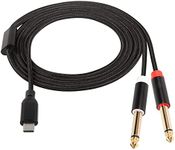 CERRXIAN 6.56ft USB C to Dual 6.35m